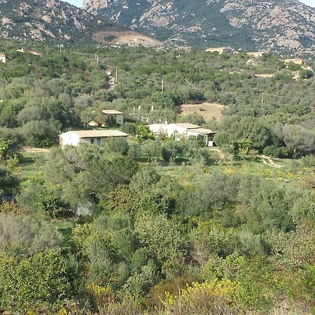 Agriturismo Agrisole Olbia Eksteriør billede