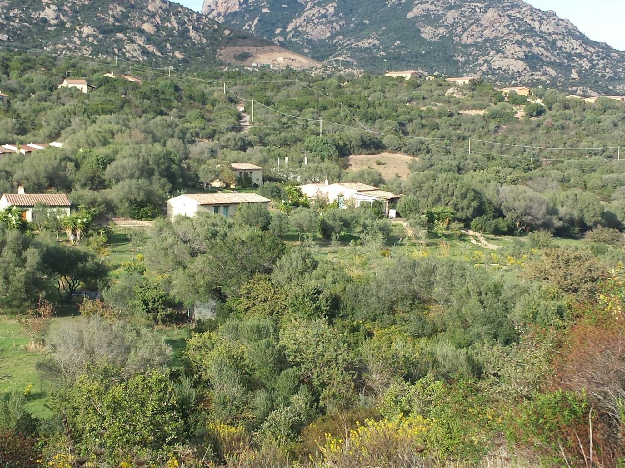 Agriturismo Agrisole Olbia Eksteriør billede