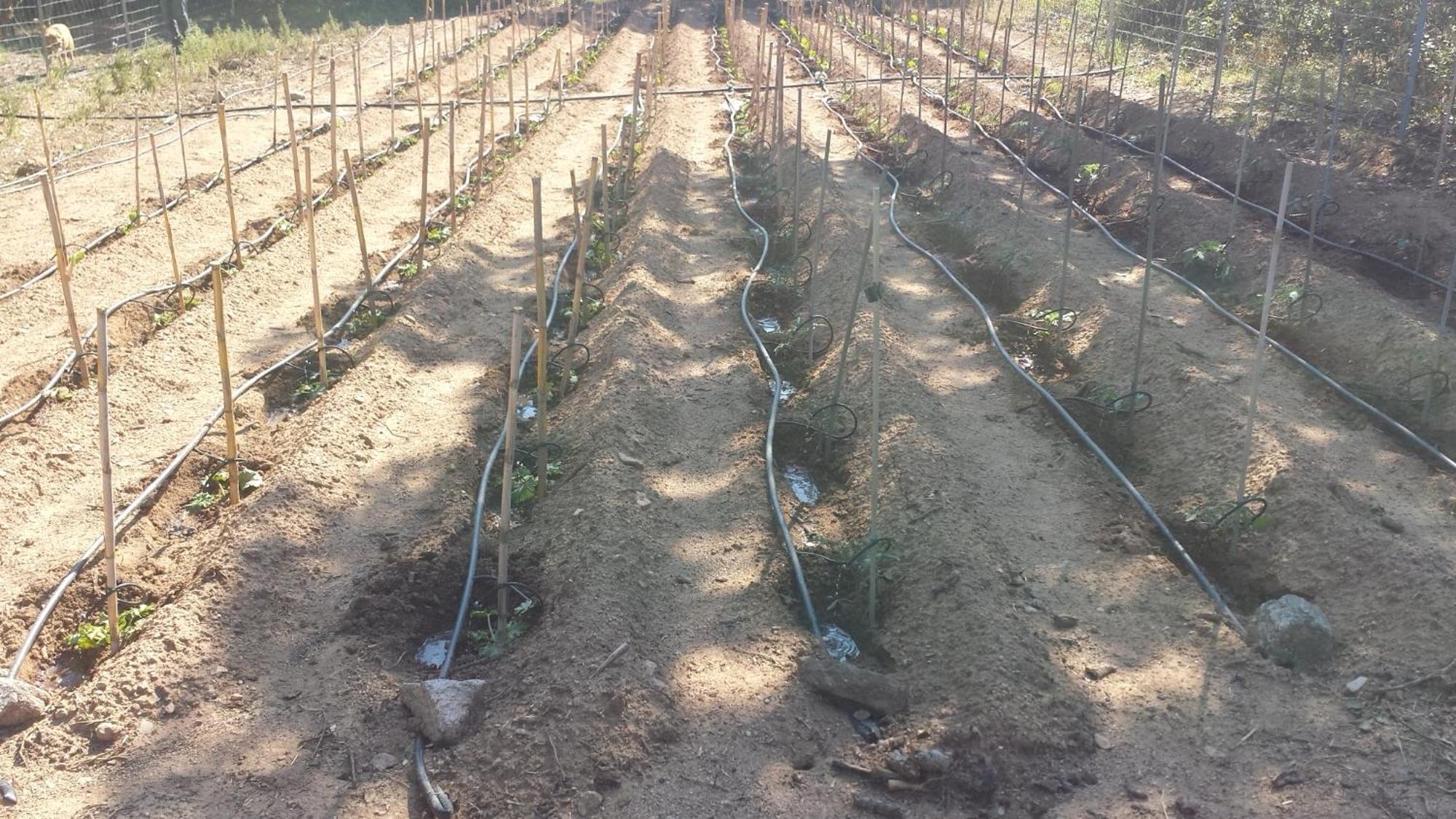 Agriturismo Agrisole Olbia Eksteriør billede