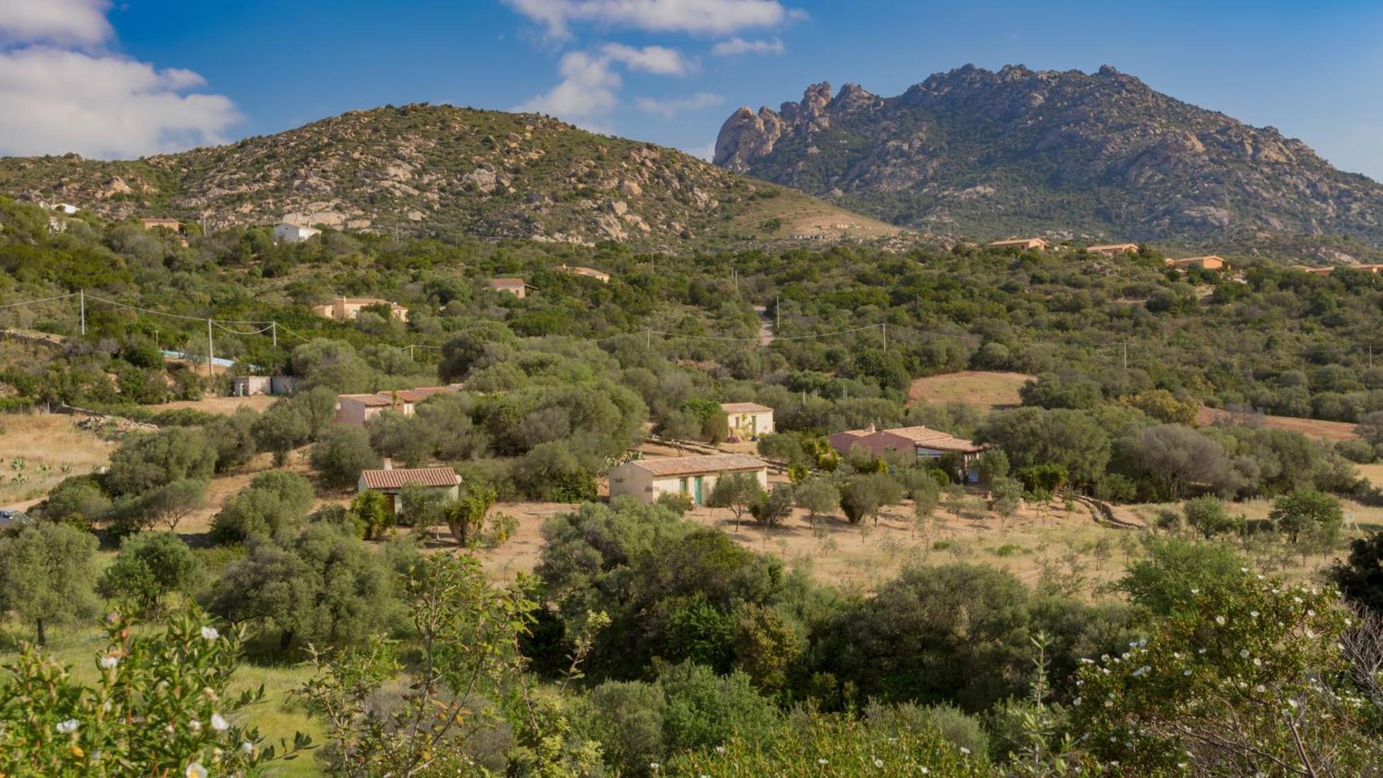 Agriturismo Agrisole Olbia Eksteriør billede