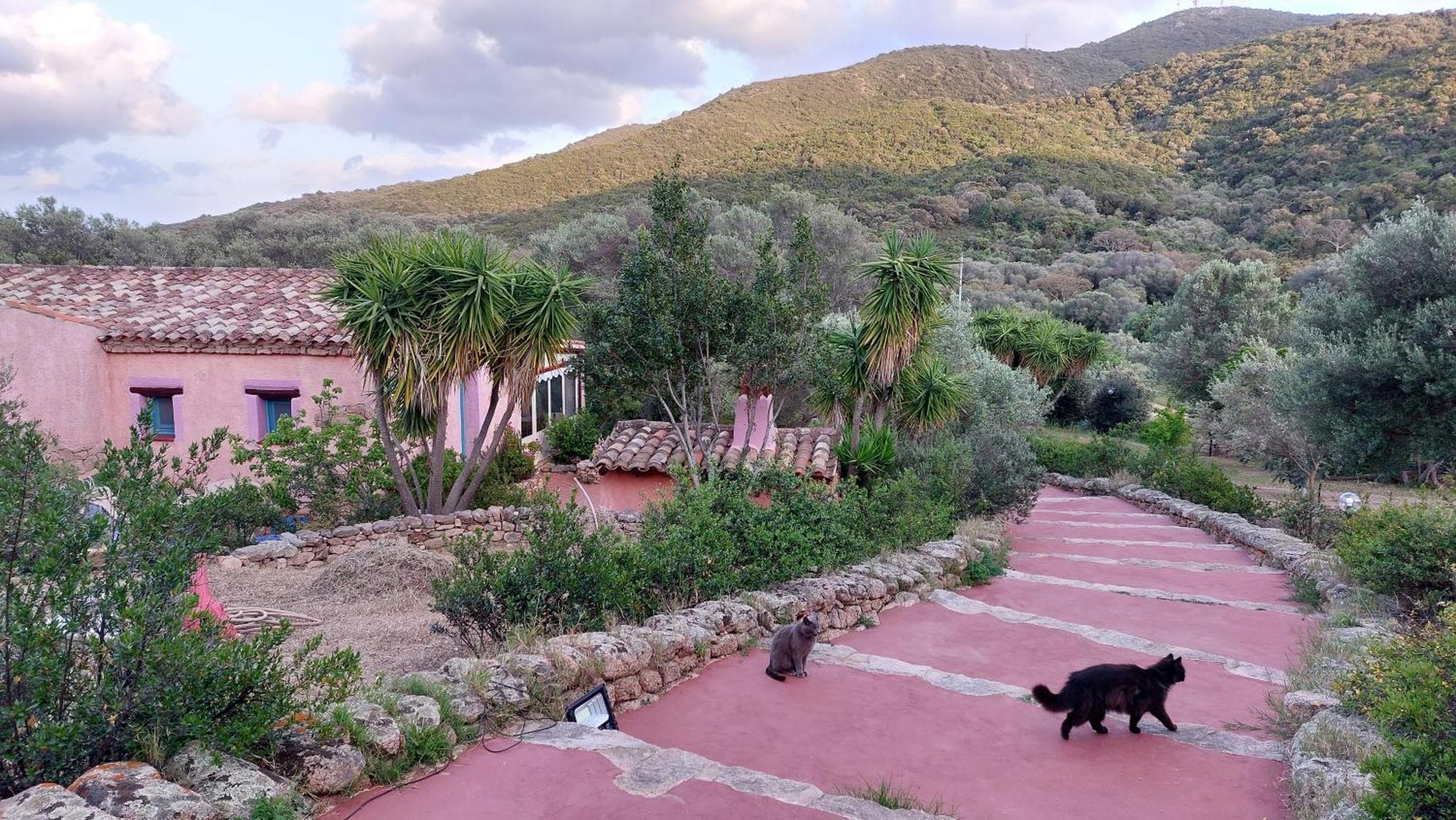 Agriturismo Agrisole Olbia Eksteriør billede