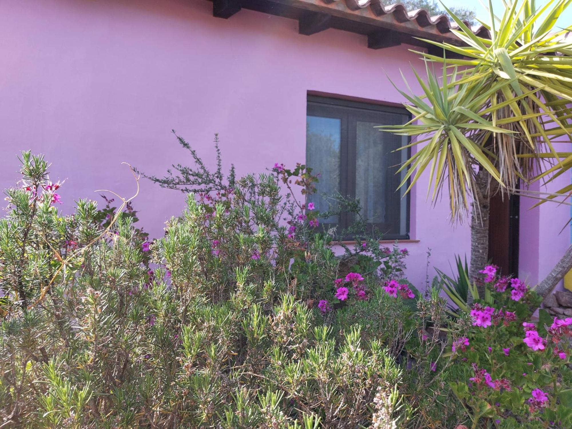 Agriturismo Agrisole Olbia Eksteriør billede