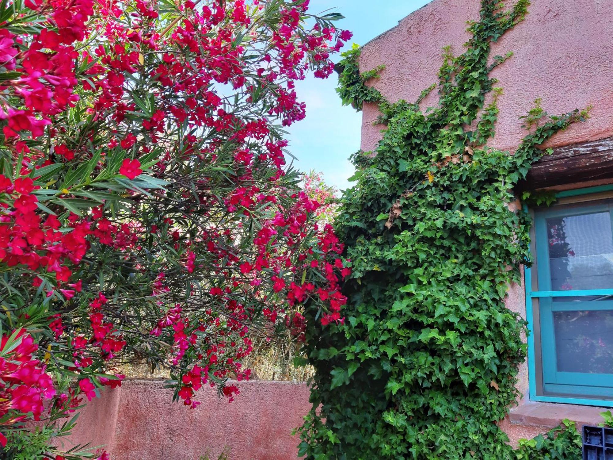 Agriturismo Agrisole Olbia Eksteriør billede